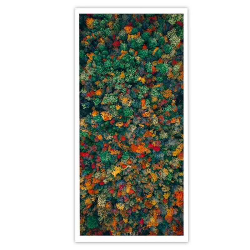 تابلو بکلیت طرح منظره طبیعت جنگل پاییزی مدل W-S3200