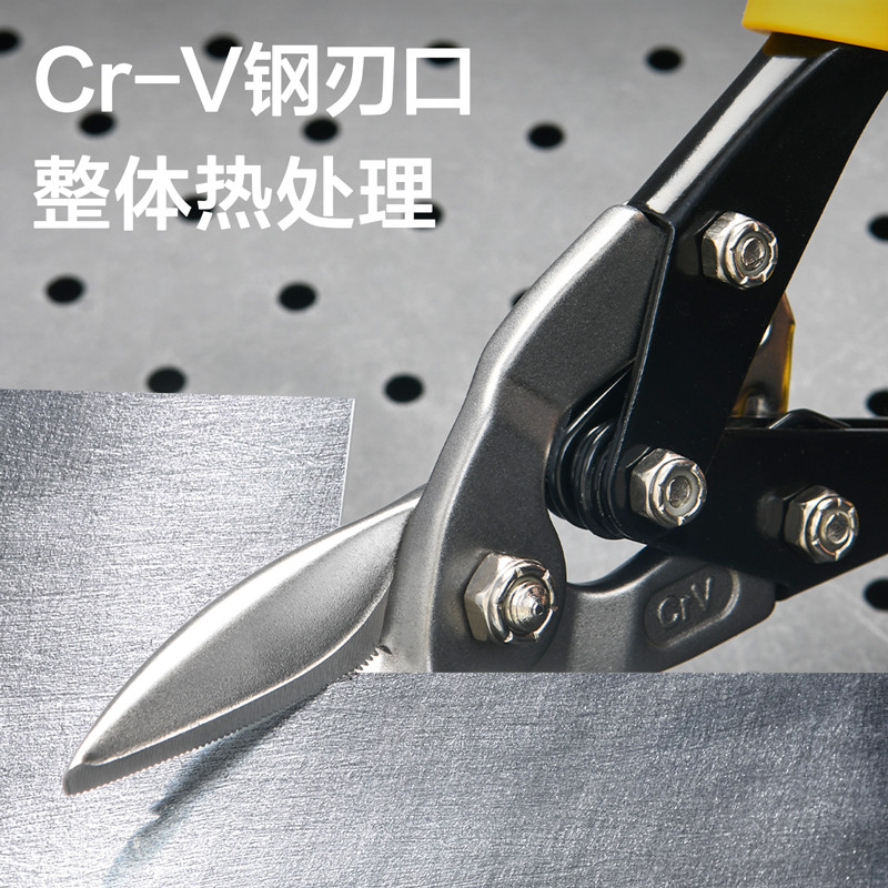 قیچی آهن بر دلی مدل DL20030 سایز 10 اینچ