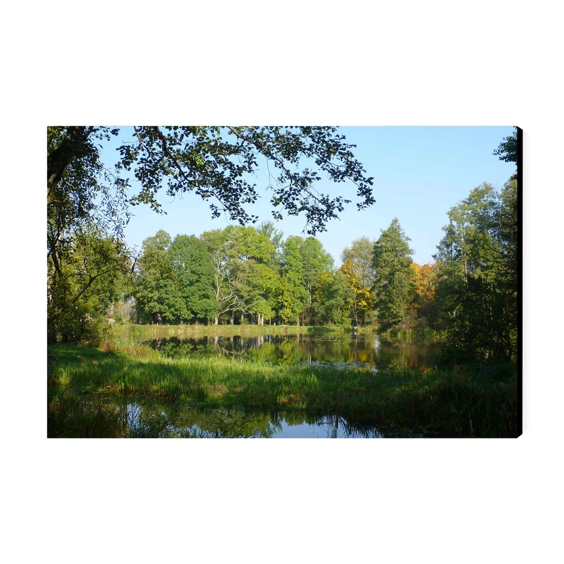 تابلو شاسی عرش طرح گردشگری لهستان مدل پارک ملی بیالوویزا کد As5811