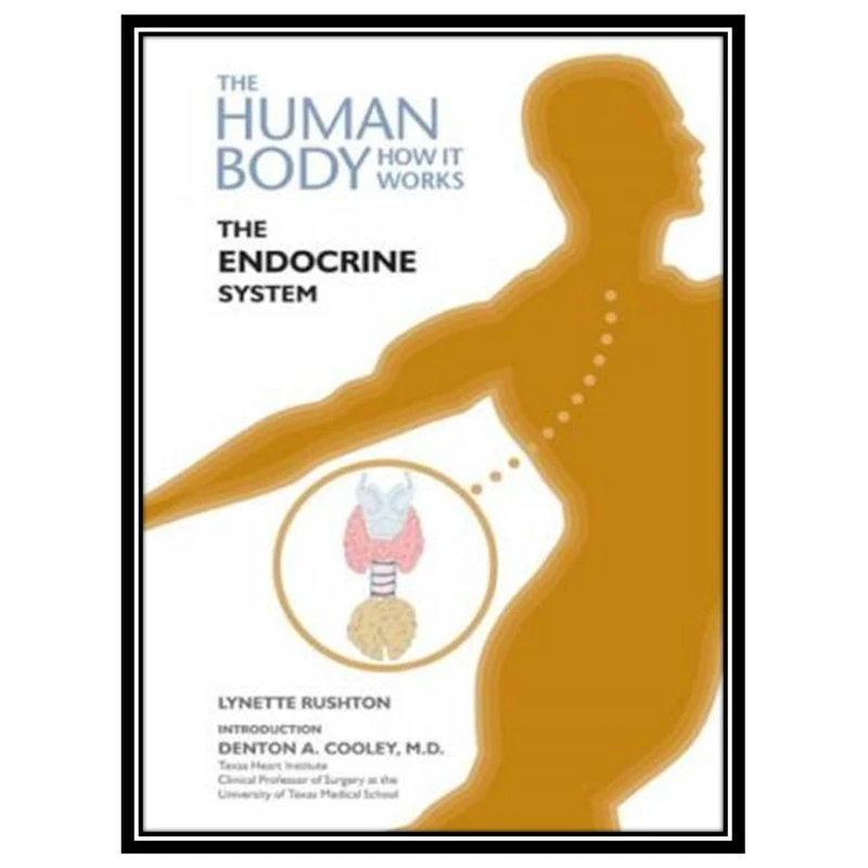 کتاب The Endocrine System (The Human Body-How It Works) اثر Lynette Rushton انتشارات مؤلفین طلایی