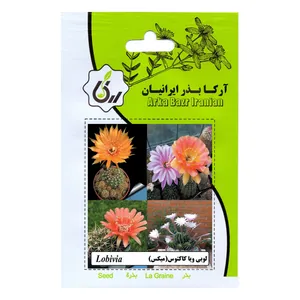 بذر لوبی‌ویا کاکتوس آرکابذرایرانیان کد A38
