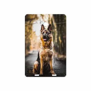 MAHOOT Dog-1 Cover Sticker for Verico Unipad