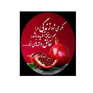 کارت پستال رادکس طرح شب یلدا  مدل S192