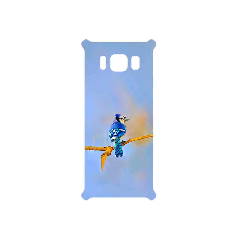 برچسب پوششی ماهوت مدل Cyanocitta cristata مناسب برای گوشی موبایل سامسونگ Galaxy S8 Active