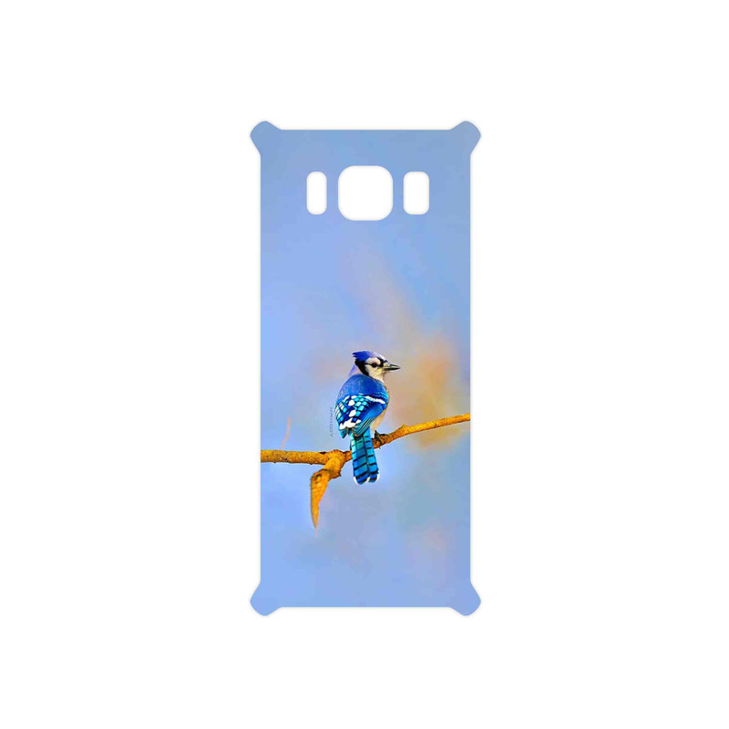 برچسب پوششی ماهوت مدل Cyanocitta cristata مناسب برای گوشی موبایل سامسونگ Galaxy S8 Active