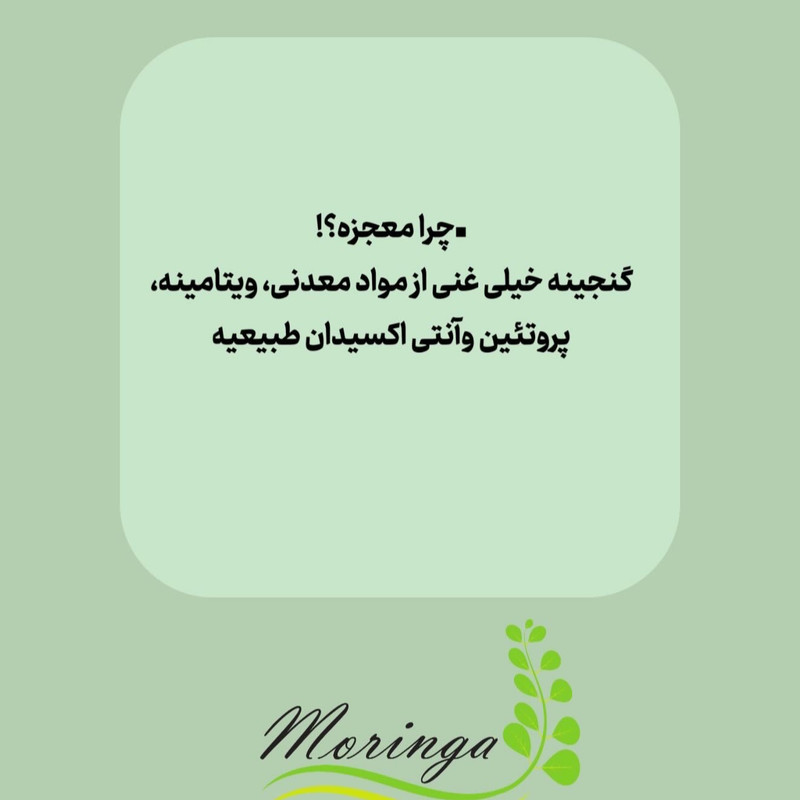 پودر گیاهی مورینگا آرانیچر - 100 گرم