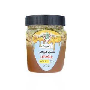 عسل 7 مغز طبیعی ویژه بزرگسالان نوفرست - 500 گرم