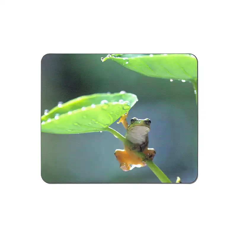 ماوس پد طرح قورباغه کد 3669