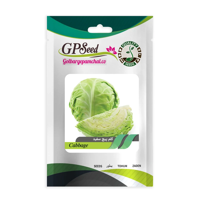 بذر کلم پیچ سفید گلبرگ پامچال کد GPF-126
