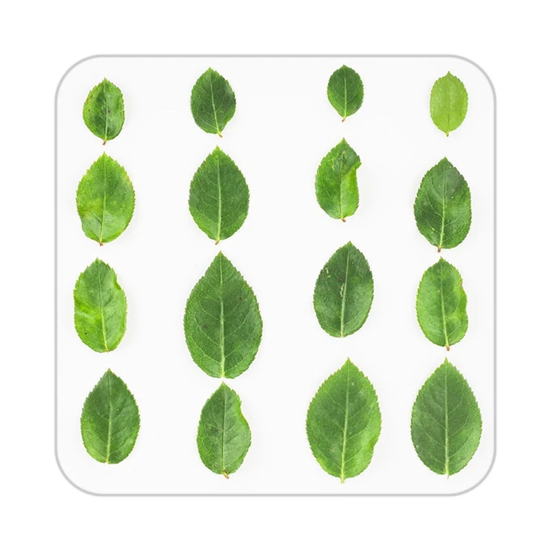 زیر لیوانی کاکتی طرح گل مدل mp18694