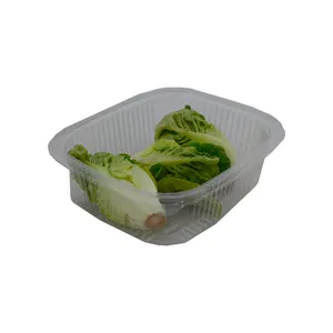 کاهو لیتل جم سبز درجه یک - 160 گرم