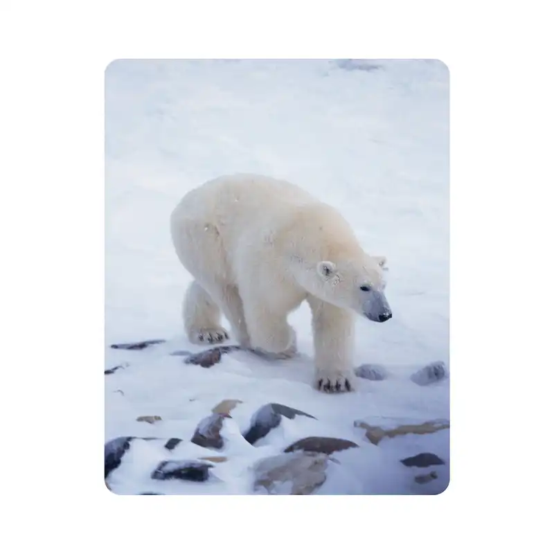 ماوس پد اطلس آبی طرح خرس قطبی و برف  مدل T2100