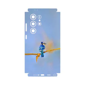 MAHOOT Cyanocitta cristata-FullSkin Cover Sticker for Samsung Galaxy S24 Ultra