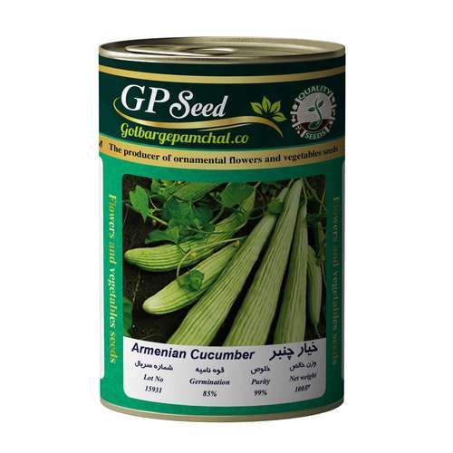 بذر خیار چنبر گلبرگ پامچال مدل GP100g-27