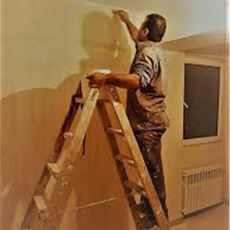 رنگ روغنی گل ماش براق رنگ نیپون کد 718 وزن 250 گرم