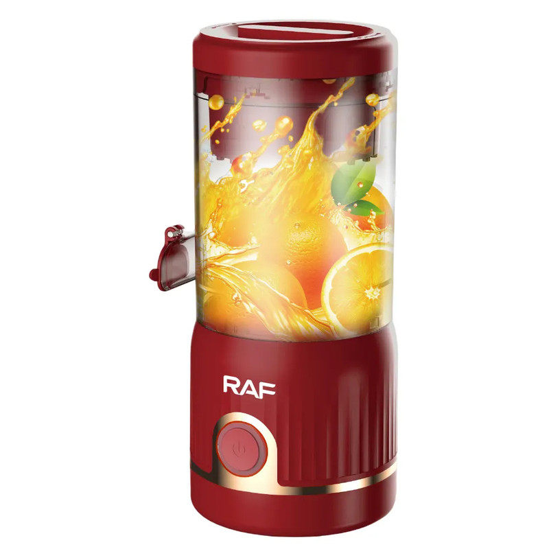مخلوط کن 0.25 لیتری راف مدل R.613