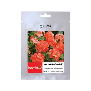 بذر گل شمعدانی نارنجی سفید بذرینو کد BZNO-091