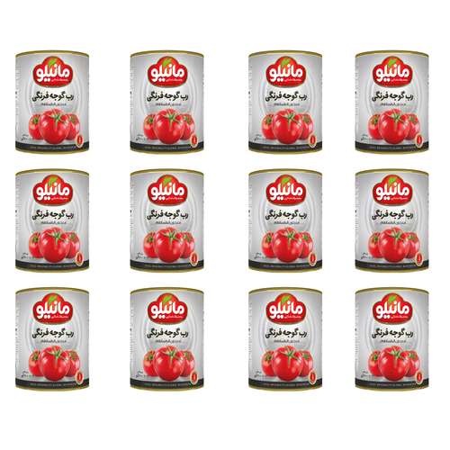 کنسرو رب گوجه فرنگی مانیلو - 400 گرم بسته 12 عددی