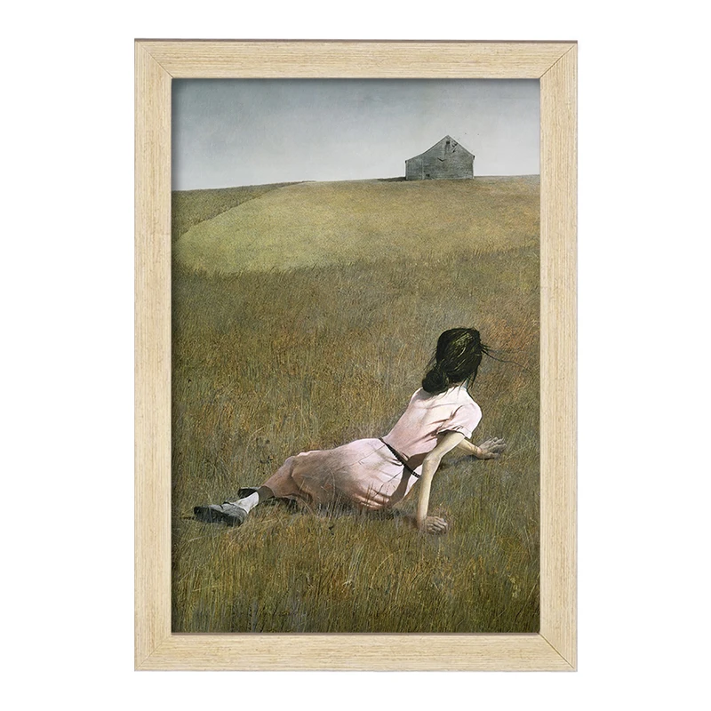 تابلو خندالو مدل دنیای کریستینا اندرو وایت کد 37126