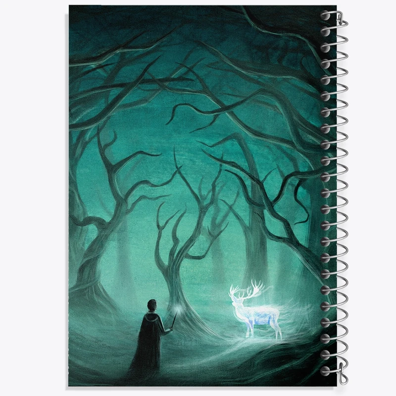 دفتر نقاشی 50 برگ خندالو طرح هری پاتر (Harry Potter) کد F801