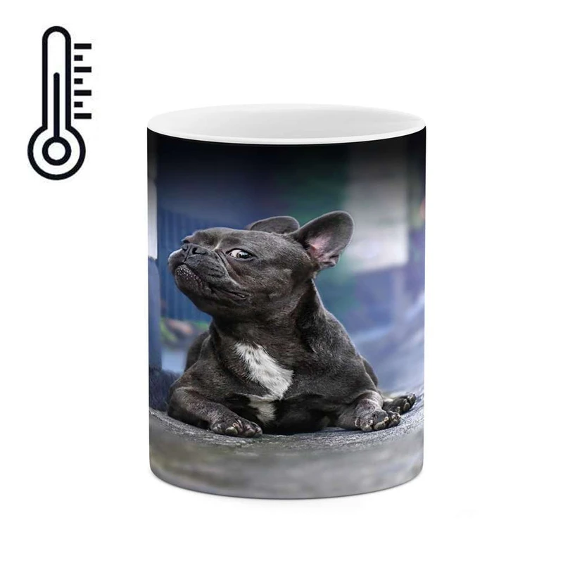 ماگ حرارتی کاکتی مدل سگ کد mgh17285