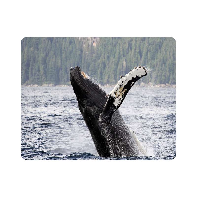 ماوس پد اطلس آبی طرح نهنگ و دریا و وال مدل T7664