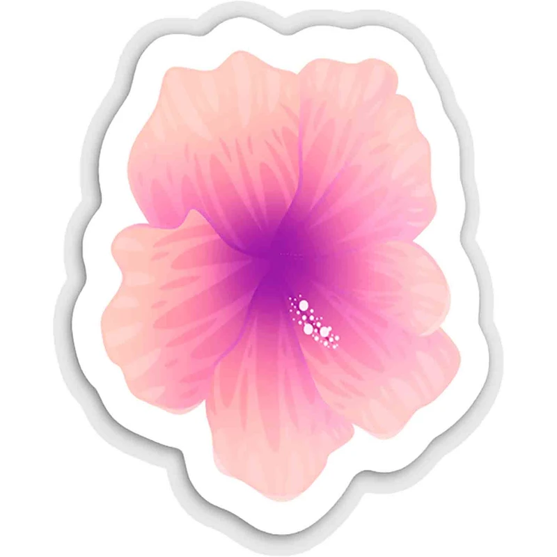 استیکر لپ تاپ طرح Pink Chinese Hibiscus Flower کد ST1437