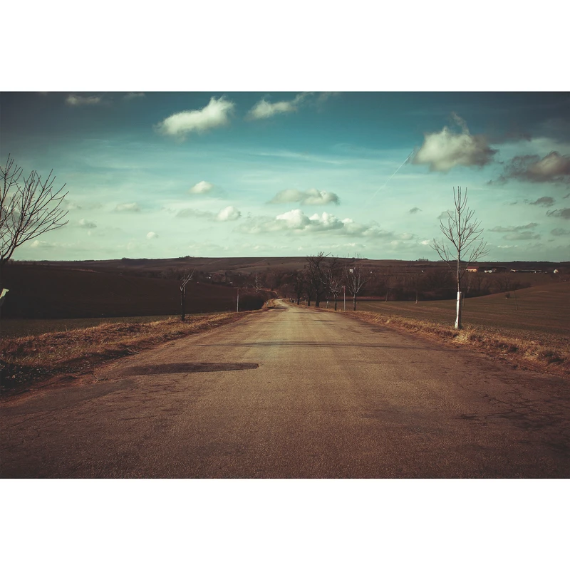 تابلو شاسی طرح جاده بیابانی و درخت مدل T1745