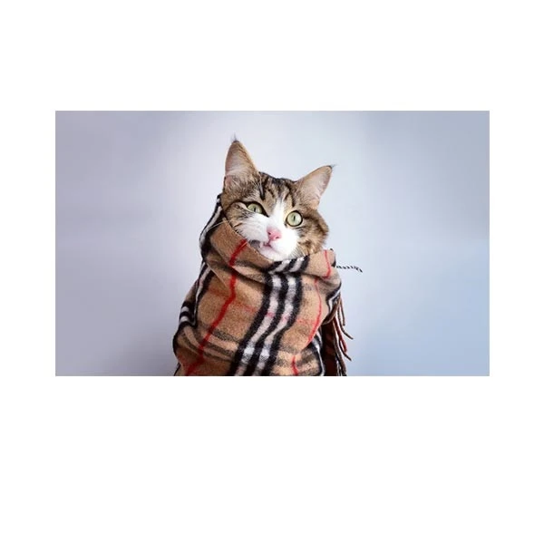    پادری طرح حیوانات کد M35M001-MA0034 سایز 76x46 سانتی متر