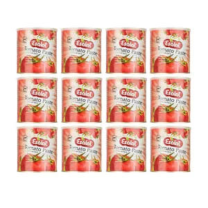 رب گوجه فرنگی اصالت مقدار 800 گرم بسته 12 عددی