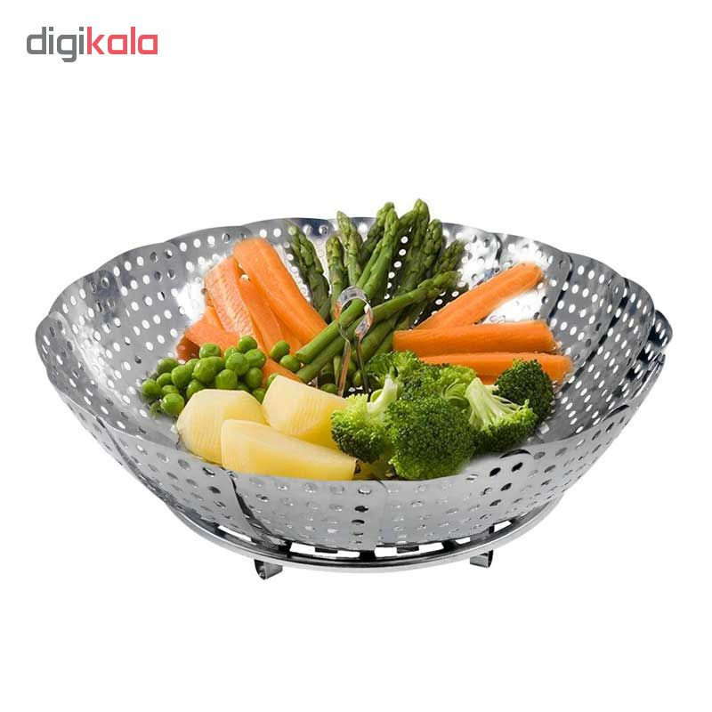 بخارپز گلدن تولز مدل GT_Plus