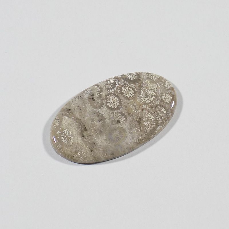 سنگ فسیل مرجان کد TG6538