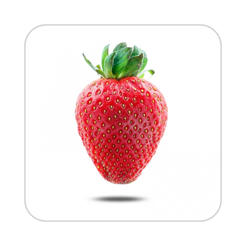 زیر لیوانی کاکتی طرح میوه مدل mp20869