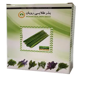 بذر تره بذر طلایی رویان  کد BTR-04