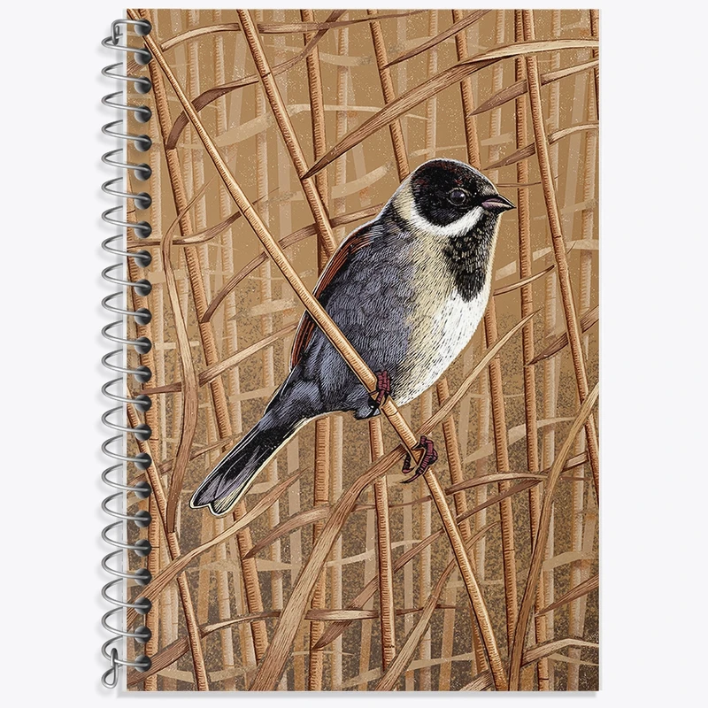 دفتر زبان 50 برگ خندالو مدل سه خط طرح پرنده کد F2862