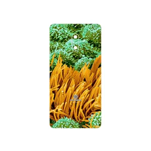 MAHOOT Atom Universe 6 Cover Sticker for Nokia 6