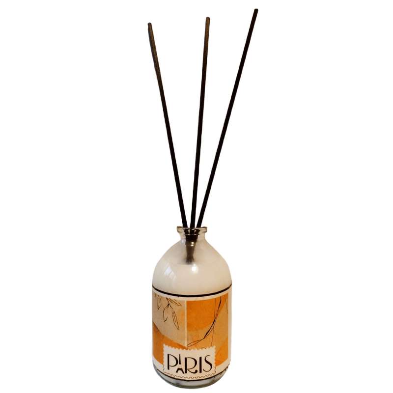خوشبوکننده هوا پاریس مدل orchid 07 حجم 100 میلی لیتر