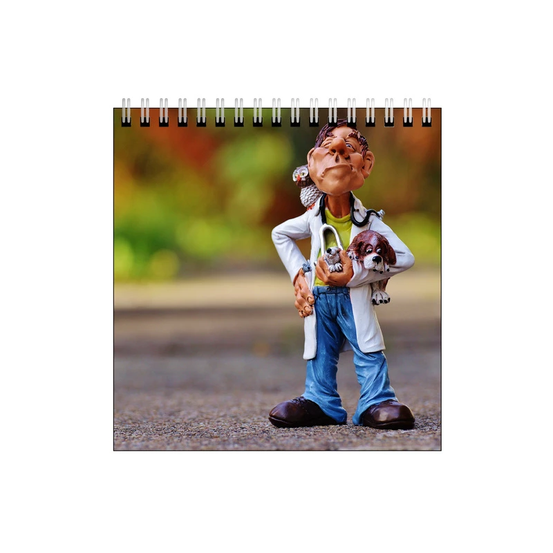 دفتر طراحی طرح دکتردامپزشک کد 0778832