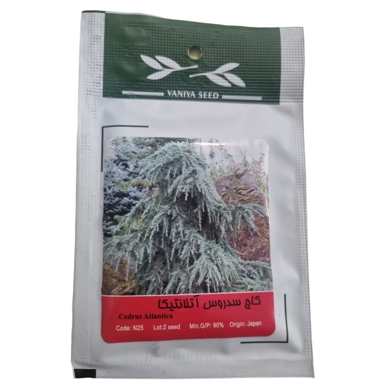 بذر درخت کاج سدروس آتلانتیکا وانیا سید مدل BA1897