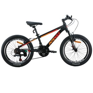 دوچرخه شهری اینتنس  مدل CV100 چمپیونز کد 1864 سایز طوقه 20 اینچ