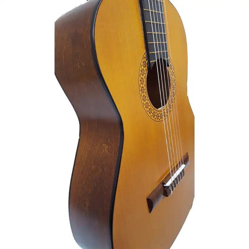 گیتار فرد مدل 002