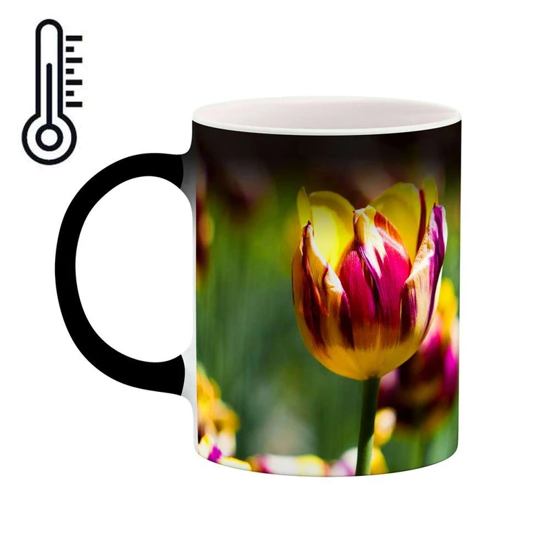 ماگ حرارتی کاکتی مدل گل کد mgh12015