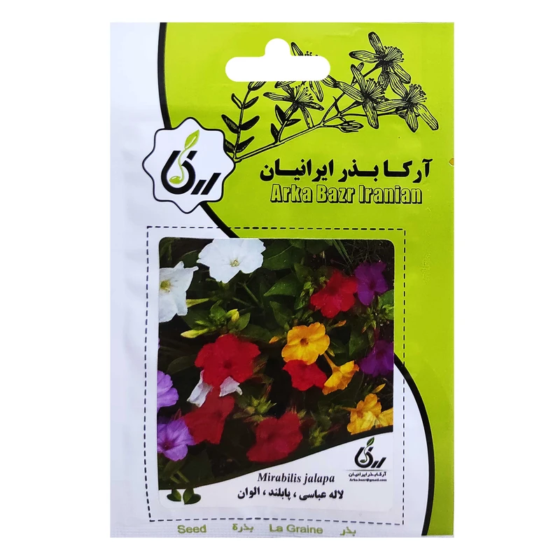 بذر لاله عباسی پابلند الوان آرکا بذر ایرانیان کد ARK-041