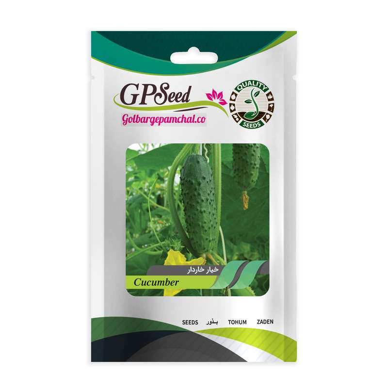 بذر خیار خاردار جی پی سید مدل GP1872 بذر خیار خاردار جی پی سید مدل GP1872