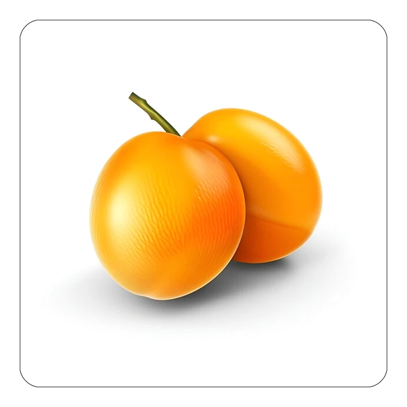 مگنت کاکتی طرح میوه مدل mp21841