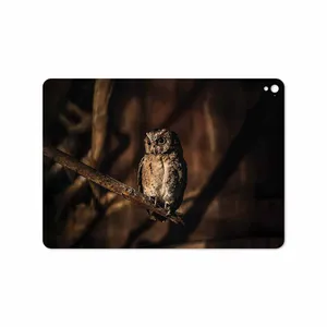 MAHOOT Owl Cover Sticker for Apple iPad Pro 9.7 2016 A1673