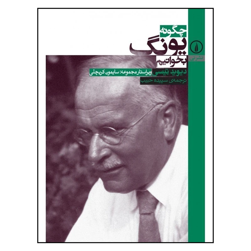 کتاب چگونه یونگ بخوانیم اثر دیوید تیسی انتشارات نی