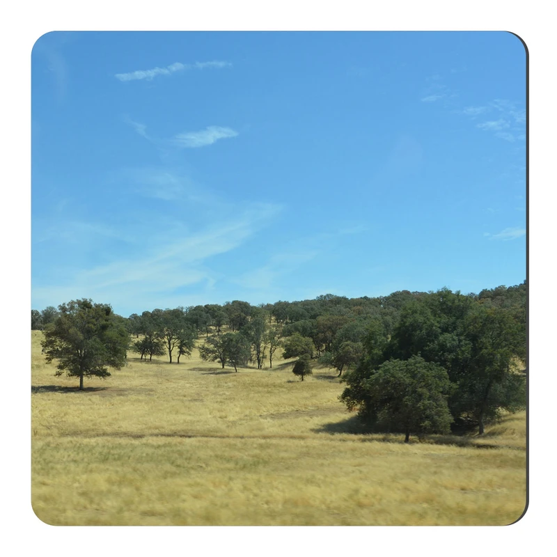  مگنت طرح بیشه زار کد NIM1495