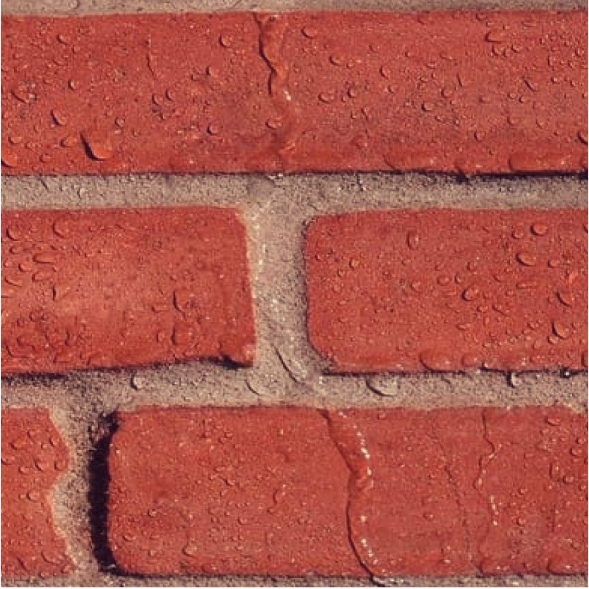 پودر بندکشی مپی مدل keracolor وزن 5 کیلوگرم