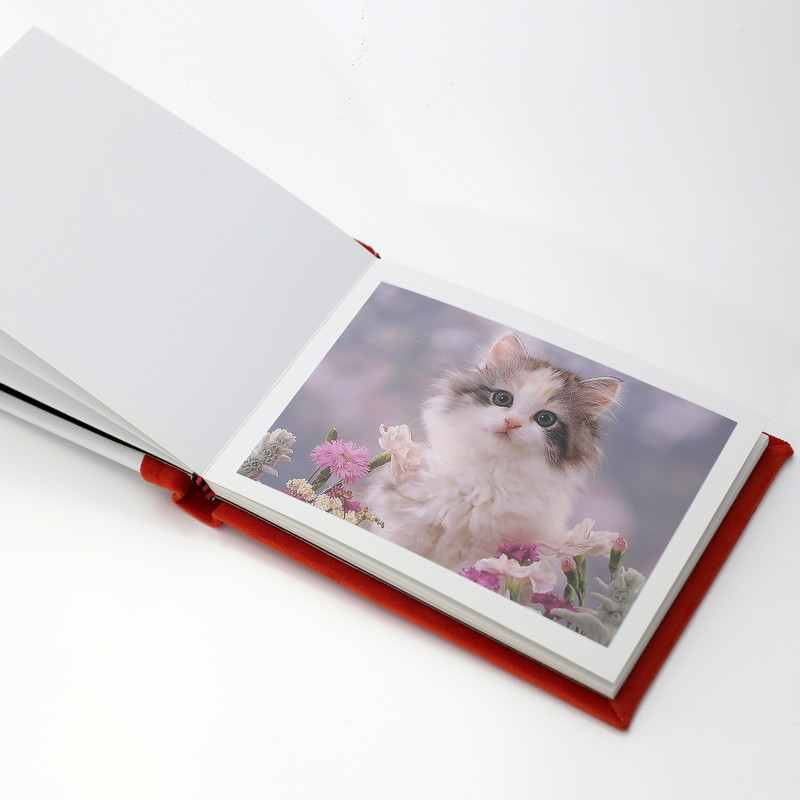 آلبوم خاطرات کودک مدل safari-20